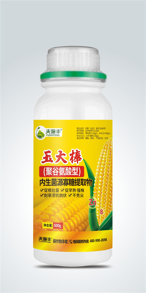 玉大棒